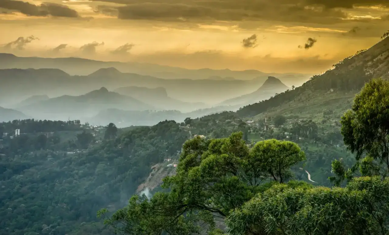 Sanfte Hügel und Berge in Indien, bedeckt mit üppigem Grün, im warmen Licht des Sonnenuntergangs.