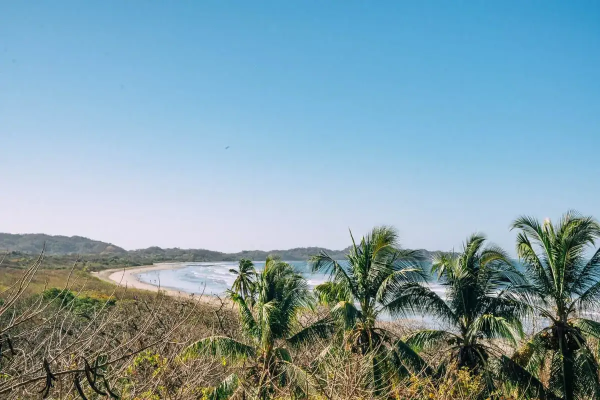 Traumhafter Blick auf die K&uuml;ste von Santa Teresa mit Palmen im Vordergrund und sanften Wellen am Strand.