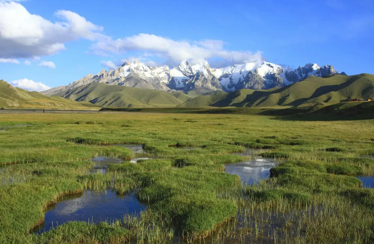 Weite, grüne Wiesen mit Wasserflächen und im Hintergrund schneebedeckte Berge. Eine majestätische kirgistan landschaft unter blauem Himmel mit Wolken.