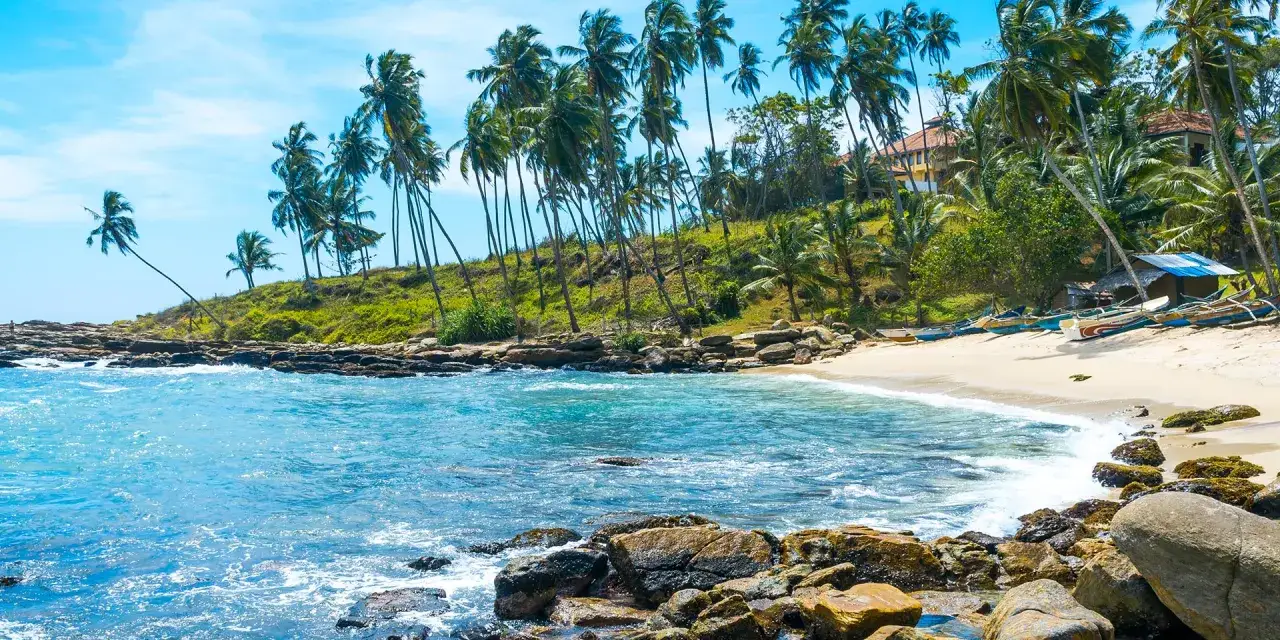 Traumhafte Küste Sri Lankas mit Palmen und Fischerbooten. Perfekt für eine Rundreise, die beste Reisezeit ist jetzt!