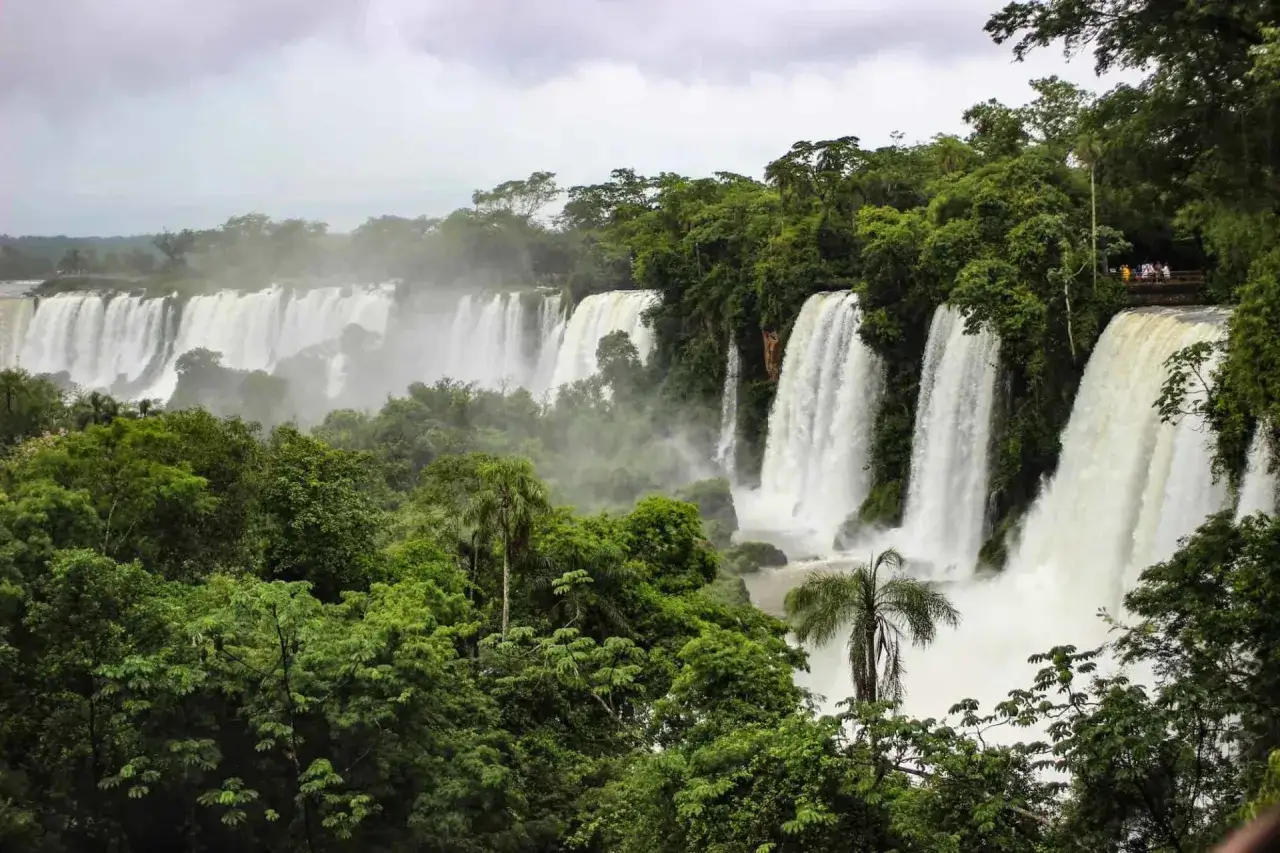 Majestätische Wasserfälle stürzen in Puerto Iguazú in die Tiefe, umgeben von üppigem, grünem Dschungel.