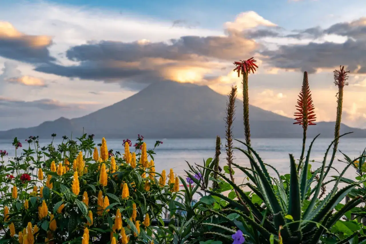Blühende Pflanzen vor einem Vulkan am See. Perfekt für die beste Reisezeit Guatemala.