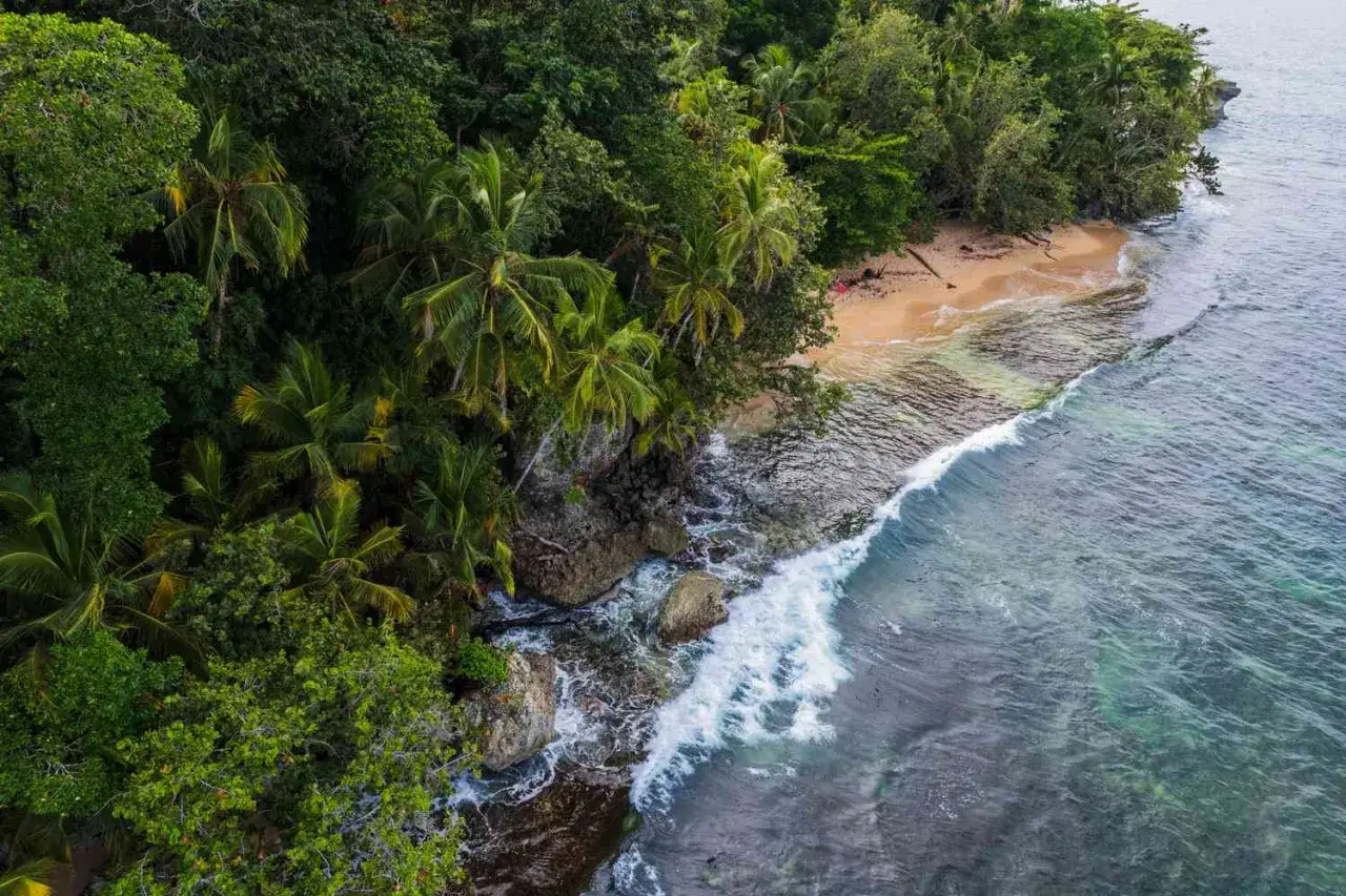 Tropischer Strand in Costa Rica im November. Palmen säumen eine einsame Bucht, während Wellen auf Felsen und Sand treffen.