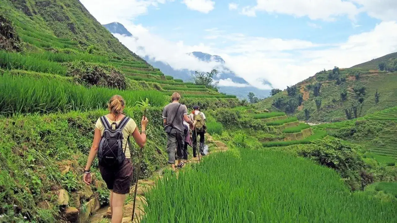 Wanderer auf einem Pfad durch terrassierte Reisfelder in Sapa, Vietnam, mit Blick auf grüne Hügel und bewölkte Berge.